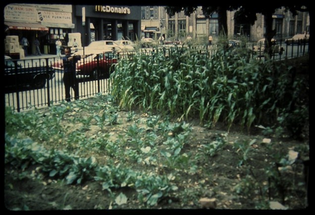 Boston Urban Gardens, 1972-77, Boston, MA. Image courtesy of Julie Kepes Stone.